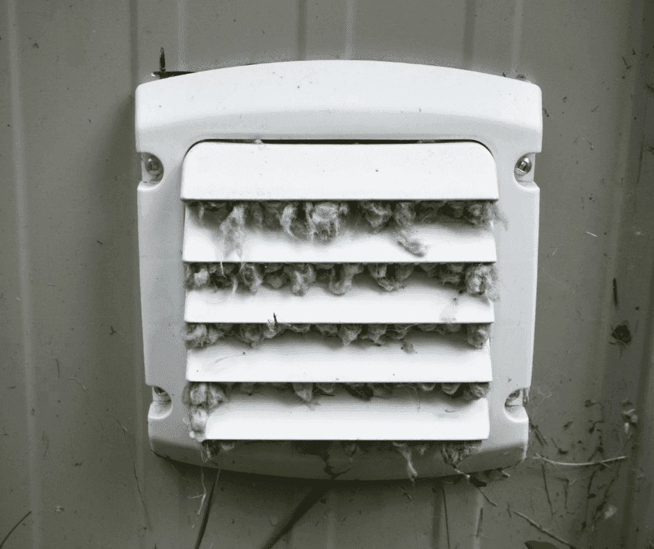 UyfemEveBaar-min alt